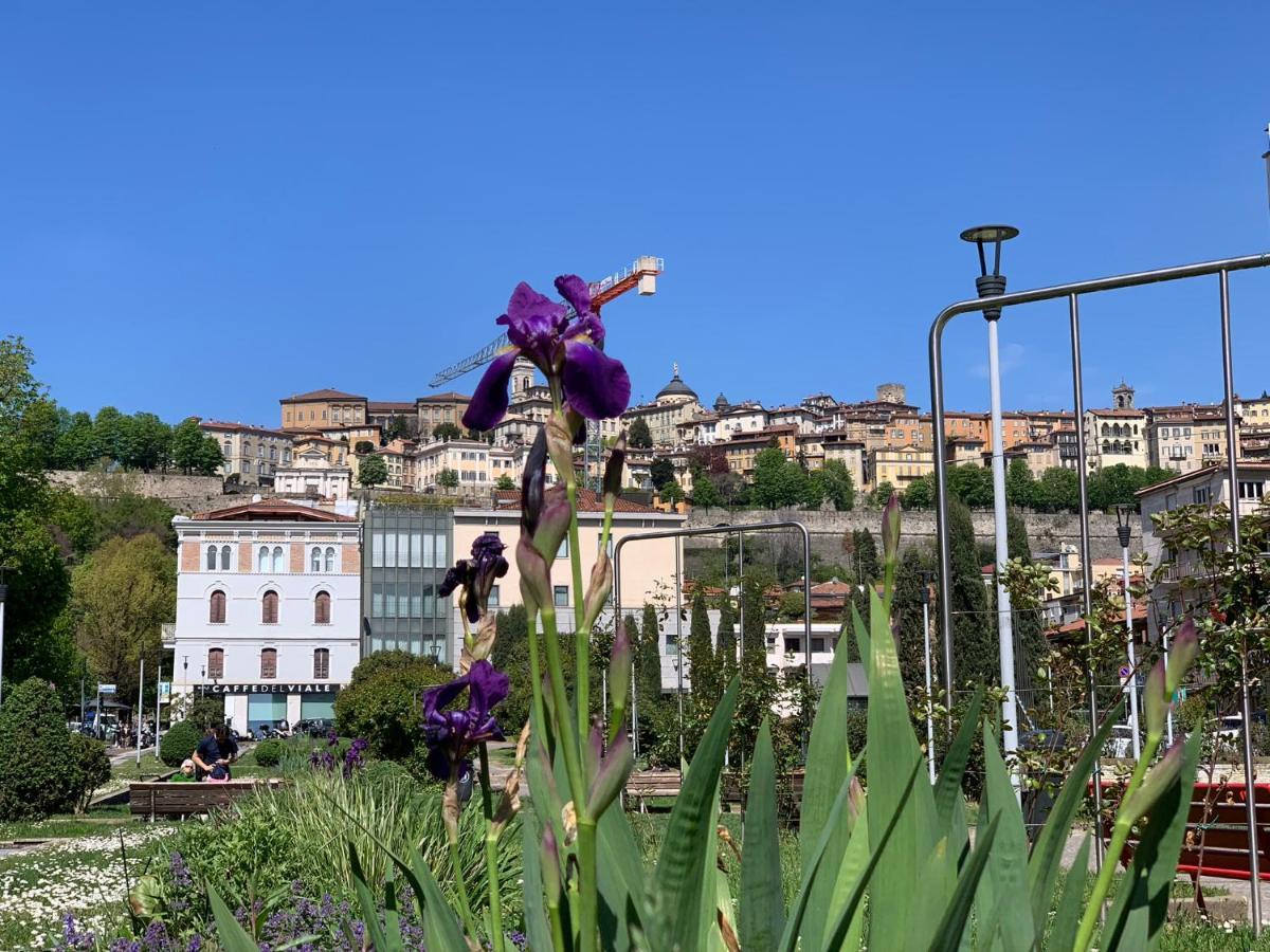 Houseberg Daire Bergamo Dış mekan fotoğraf